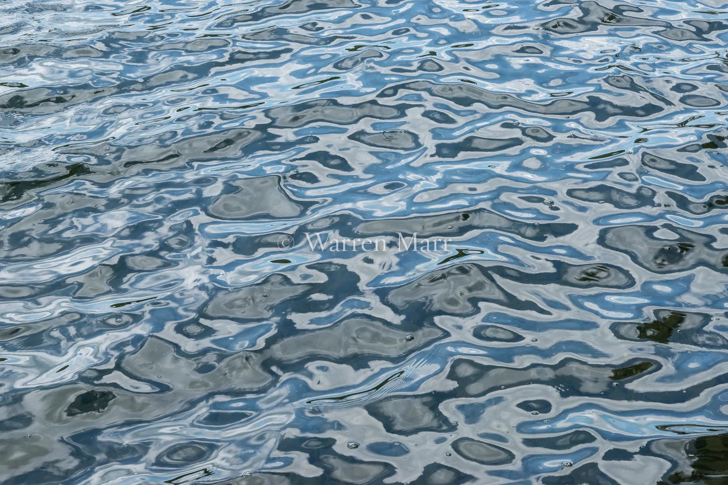 Blue #2