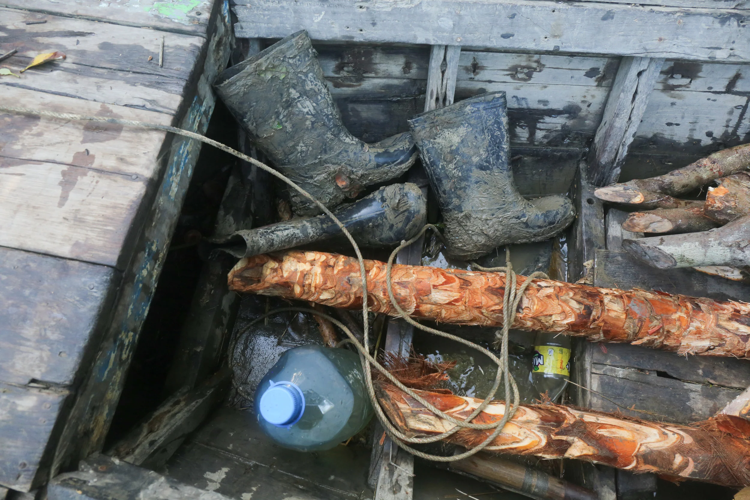 Harvesting-36.jpg