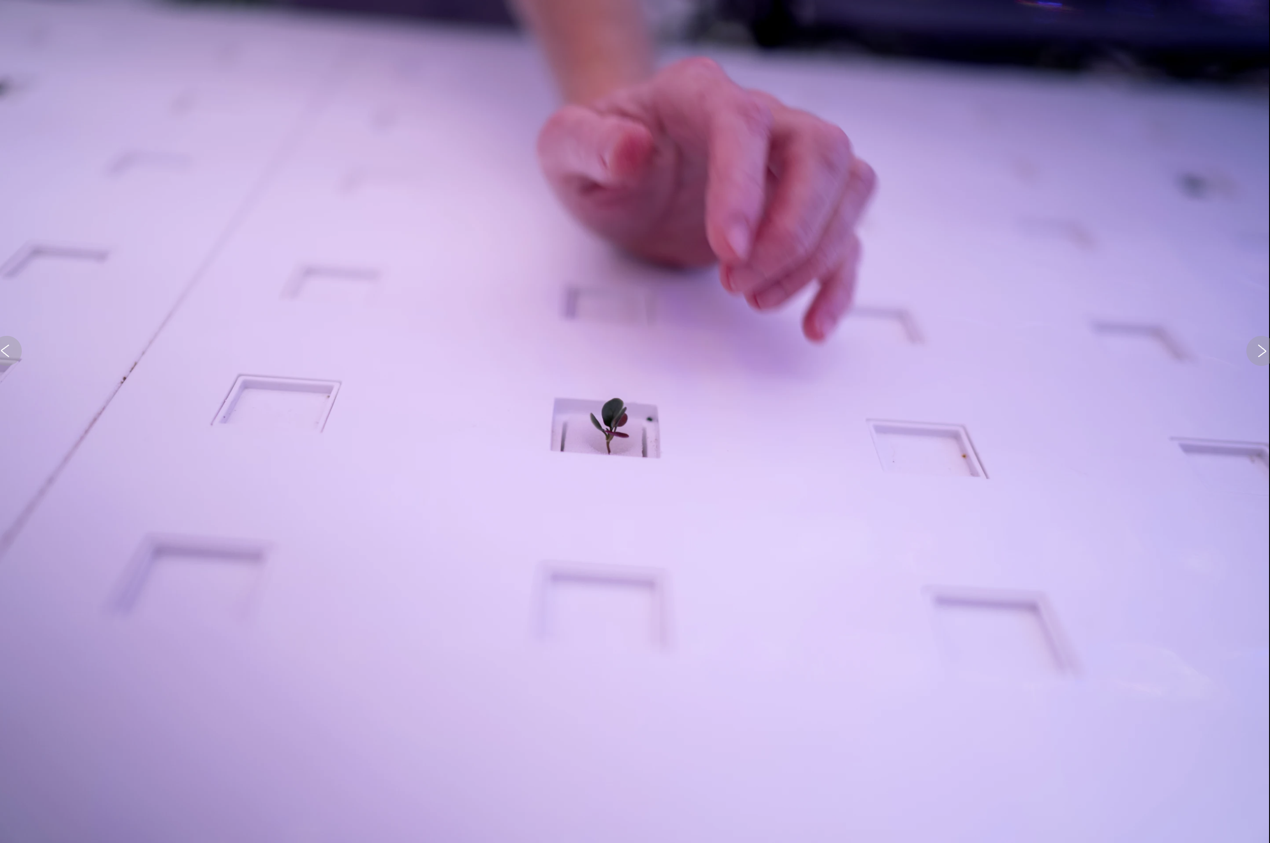 Screenshot 2025-04-04 at 1.56.08 PM.png