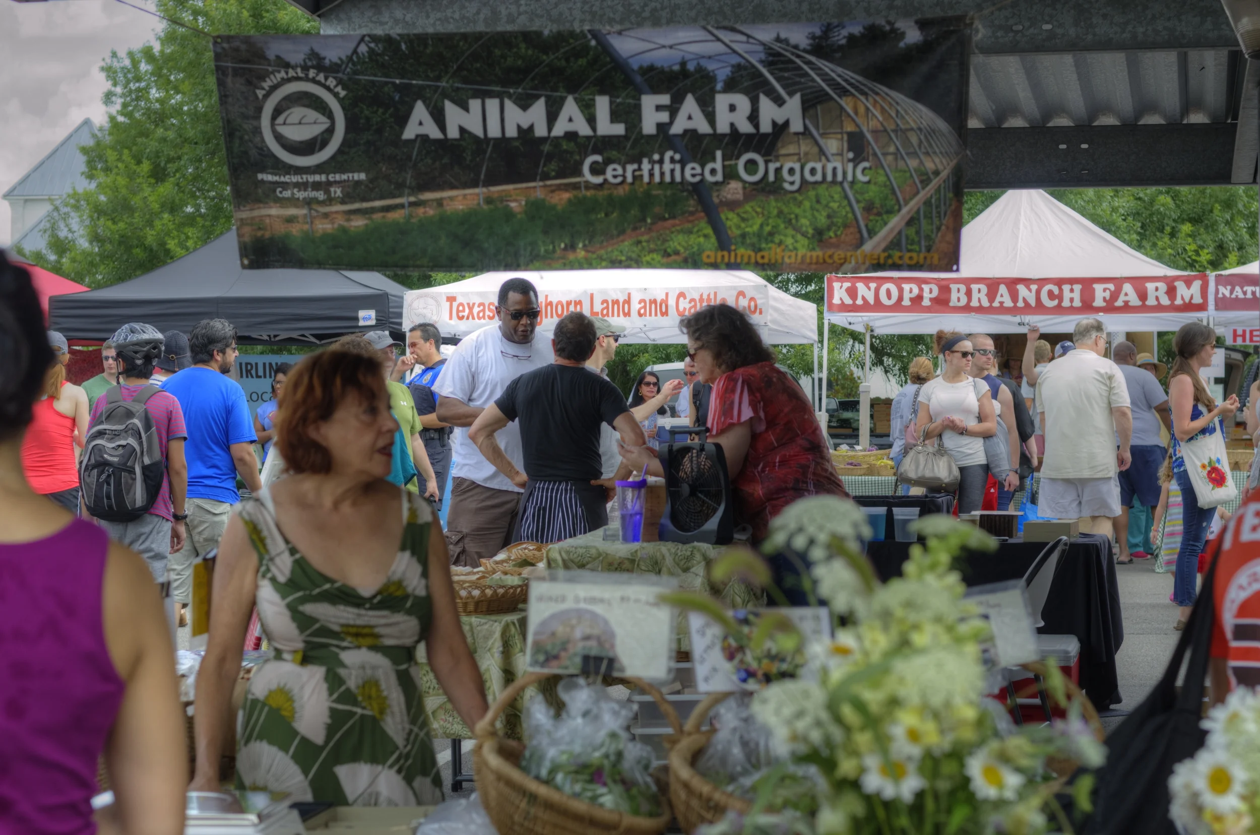 Bayou City Outdoor Farmer's Market Ride