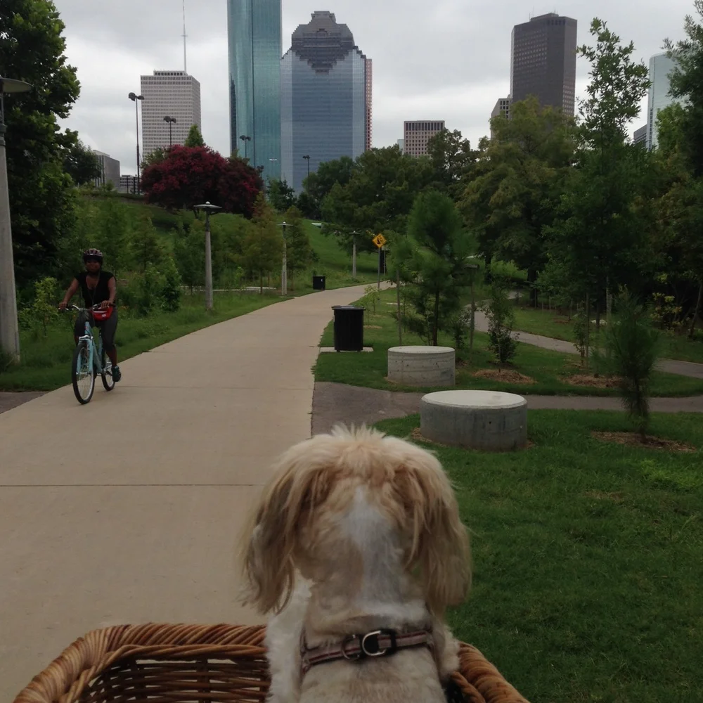 Bicycling on Buffalo Bayou
