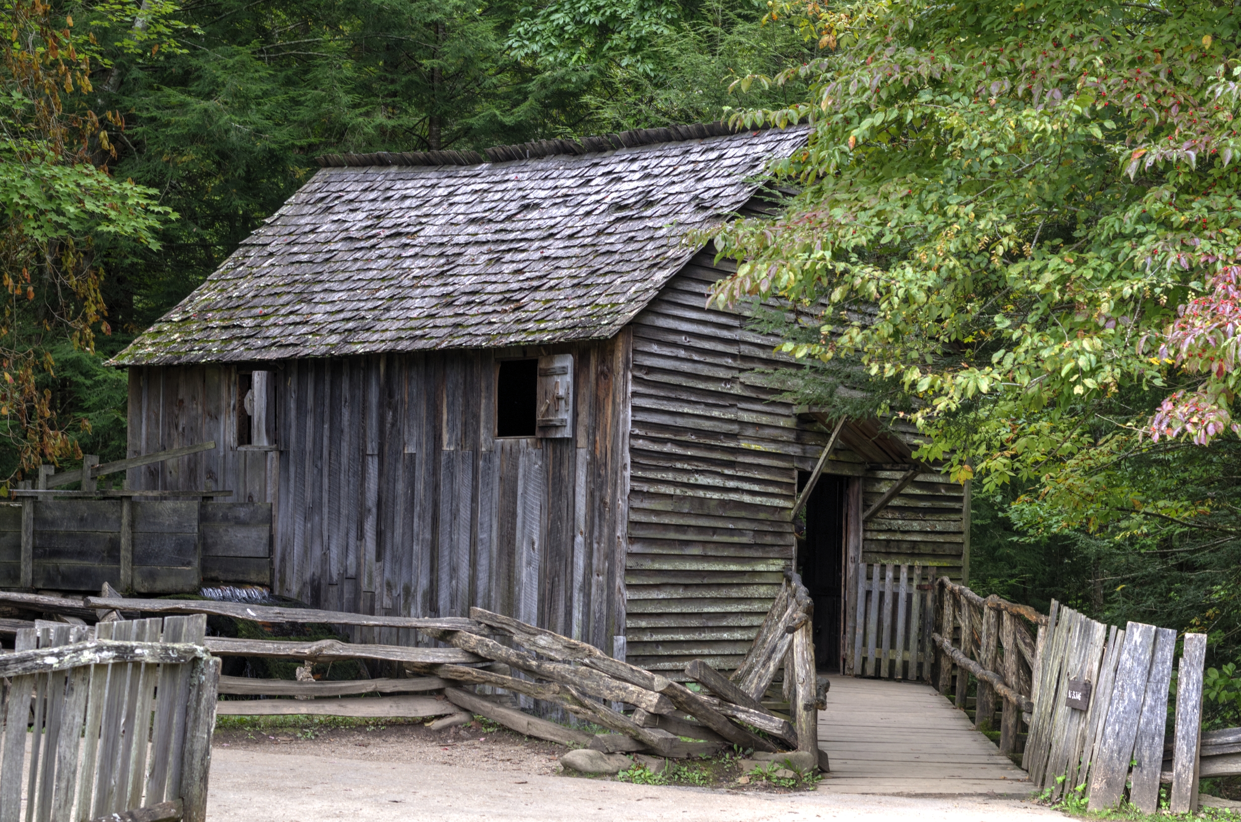 Laurel Falls & Cades Cove