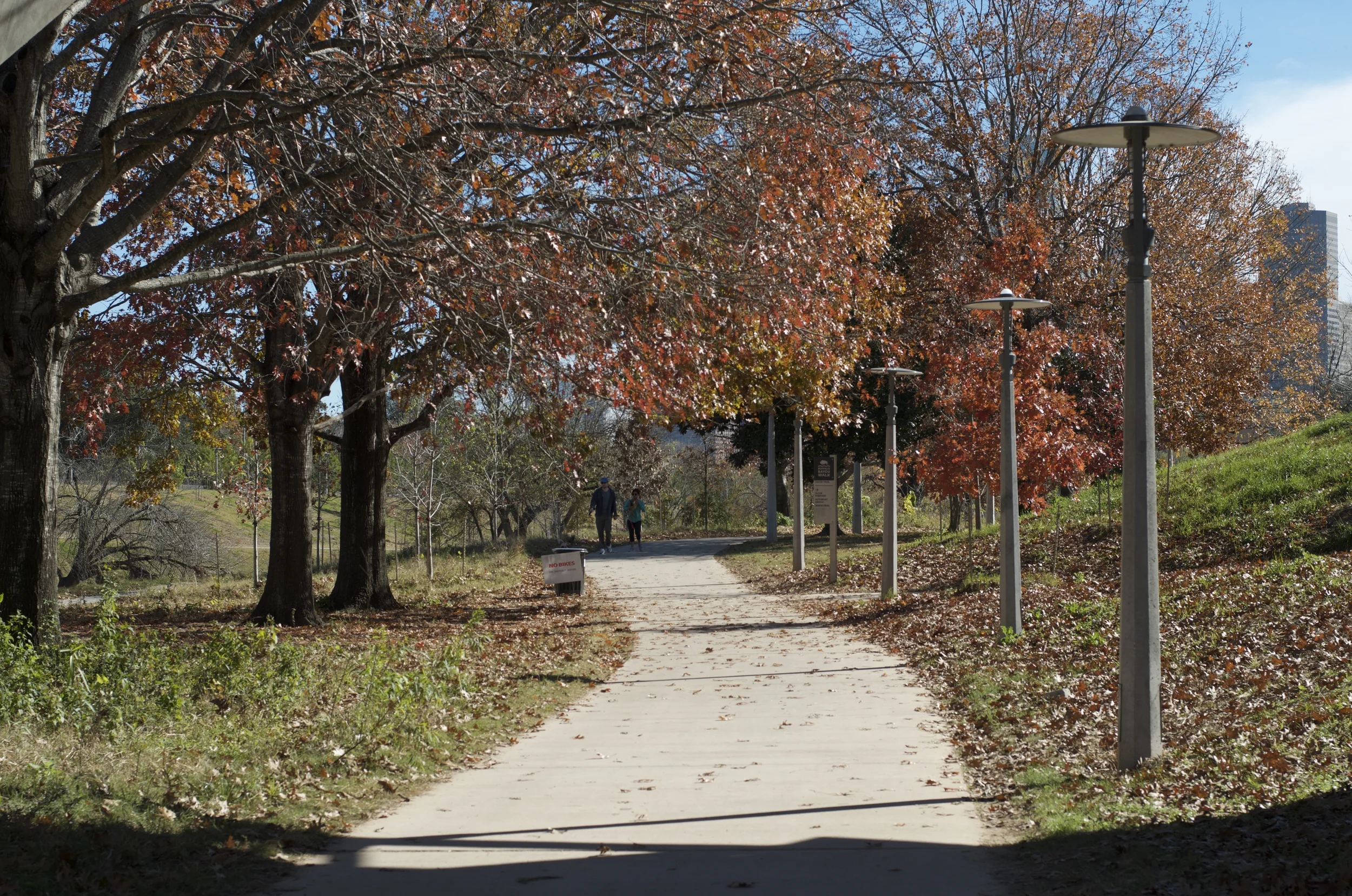 DSC_8517.jpg