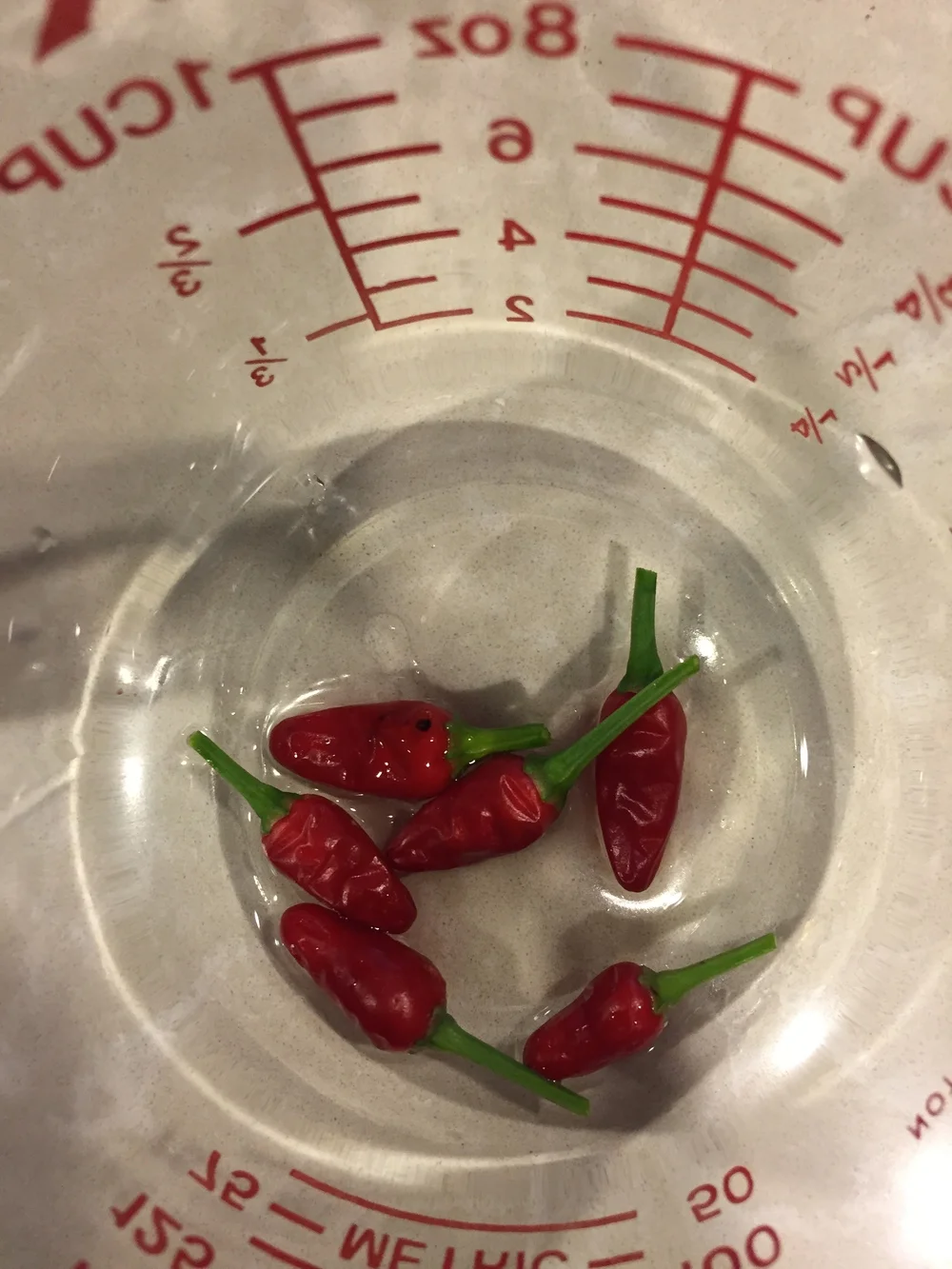 My First Homegrown...