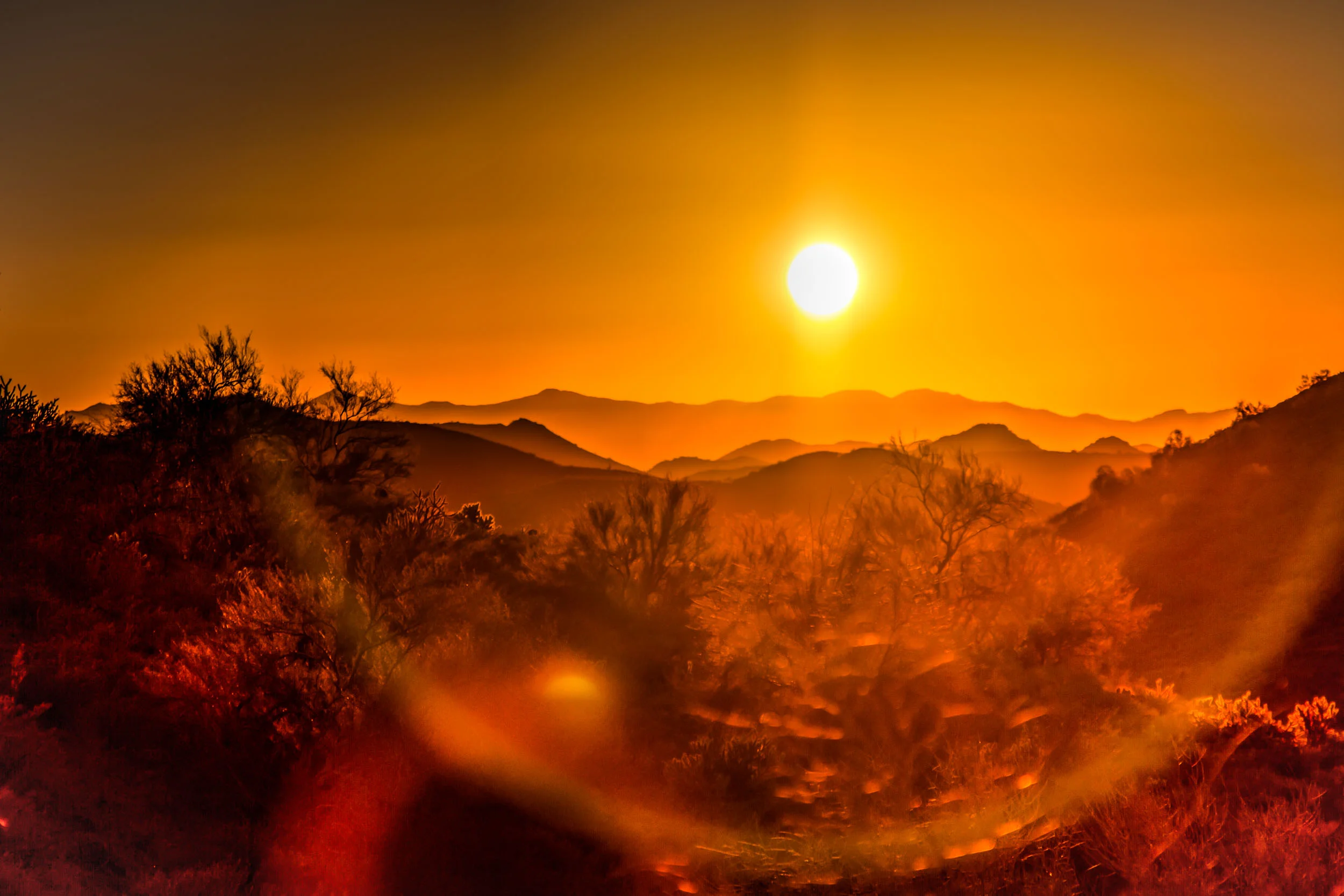 "Arizona Sunset", AZ
