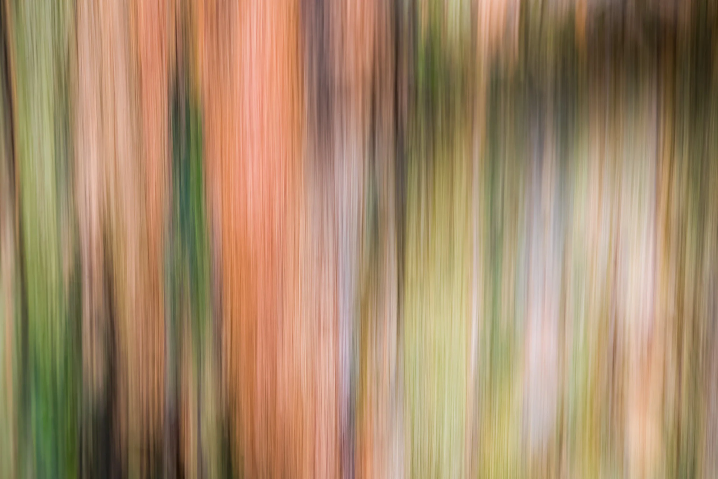 "Tree Bark in Motion", HK