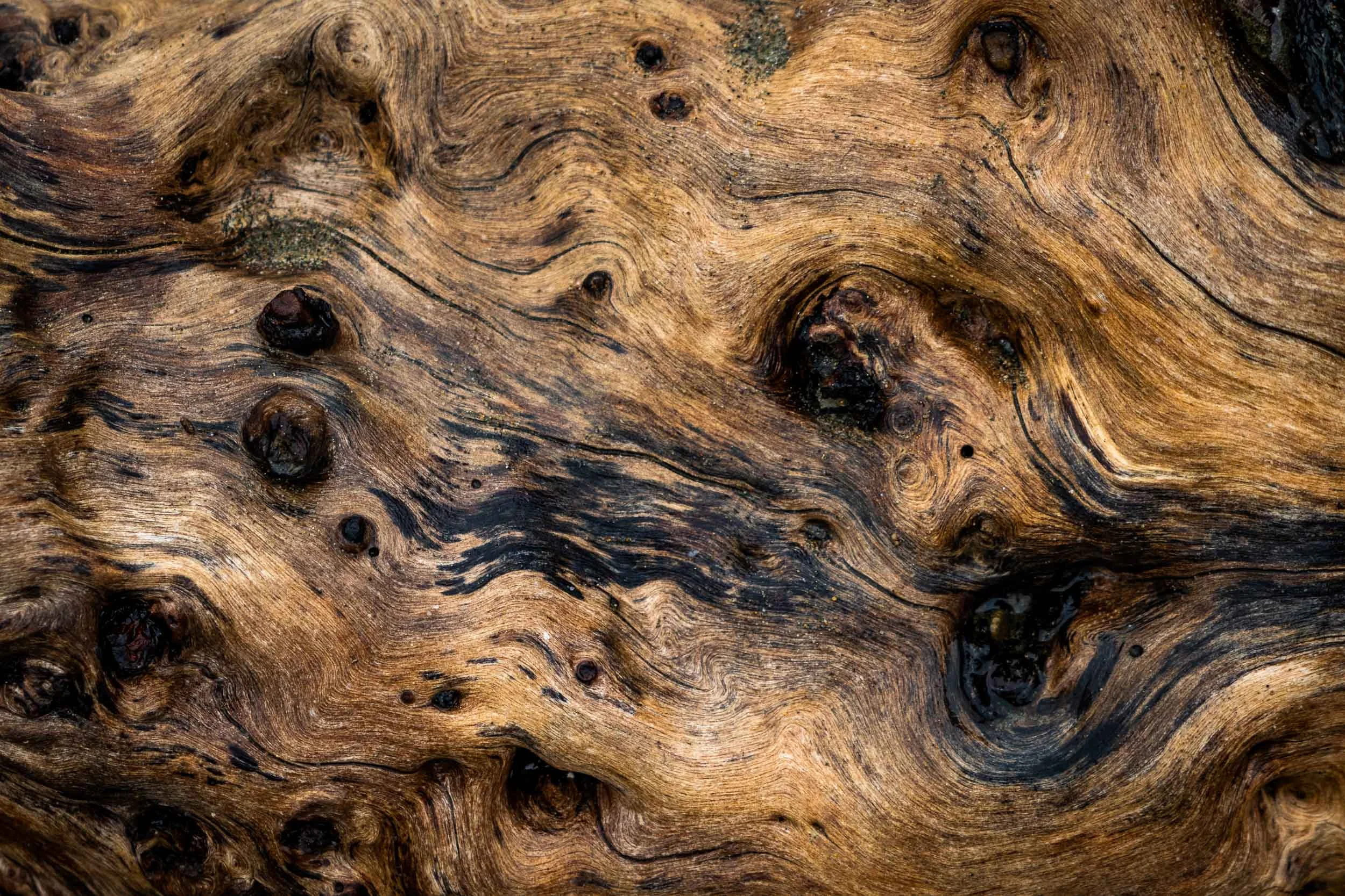 "Driftwood III", CA