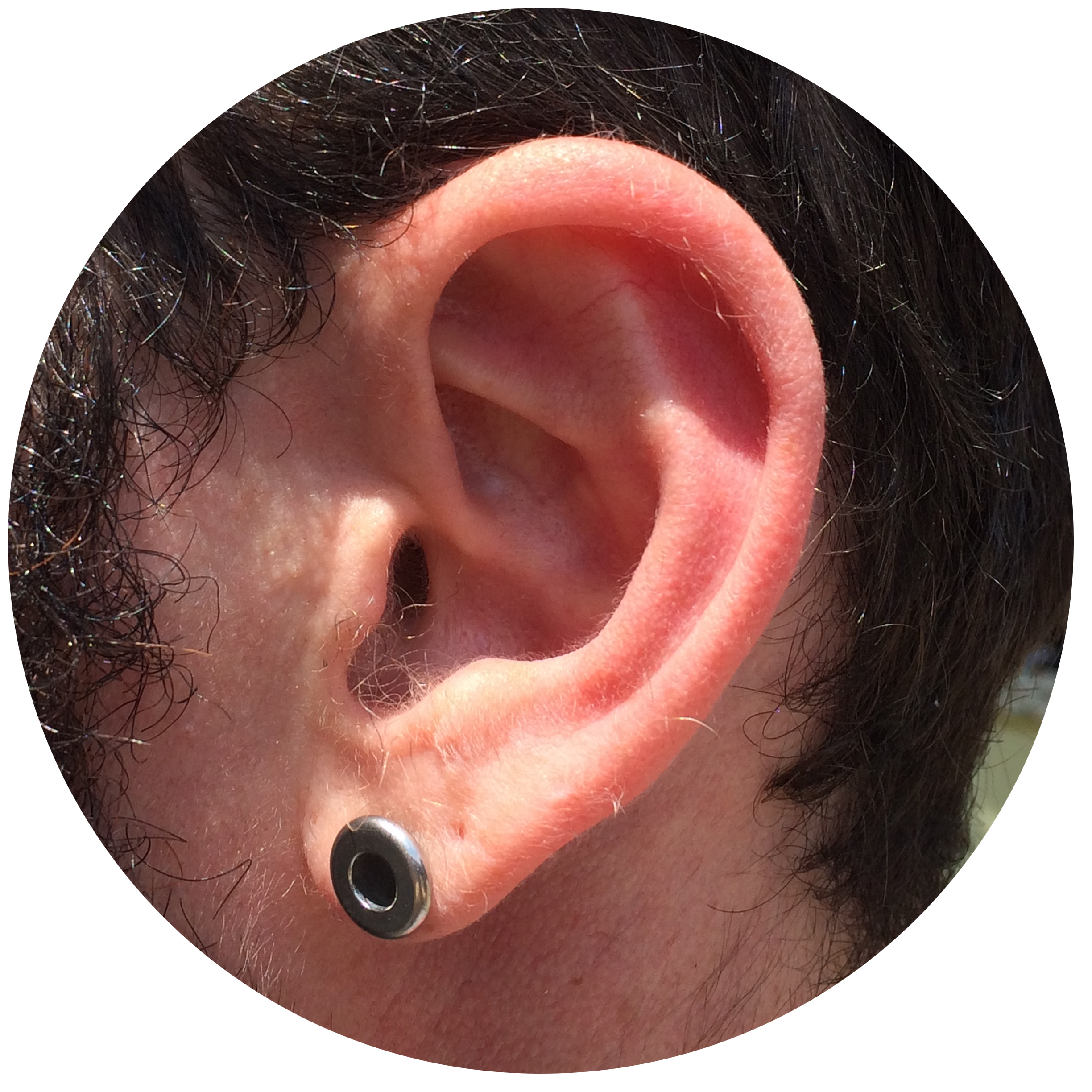 Adam Ear.jpg