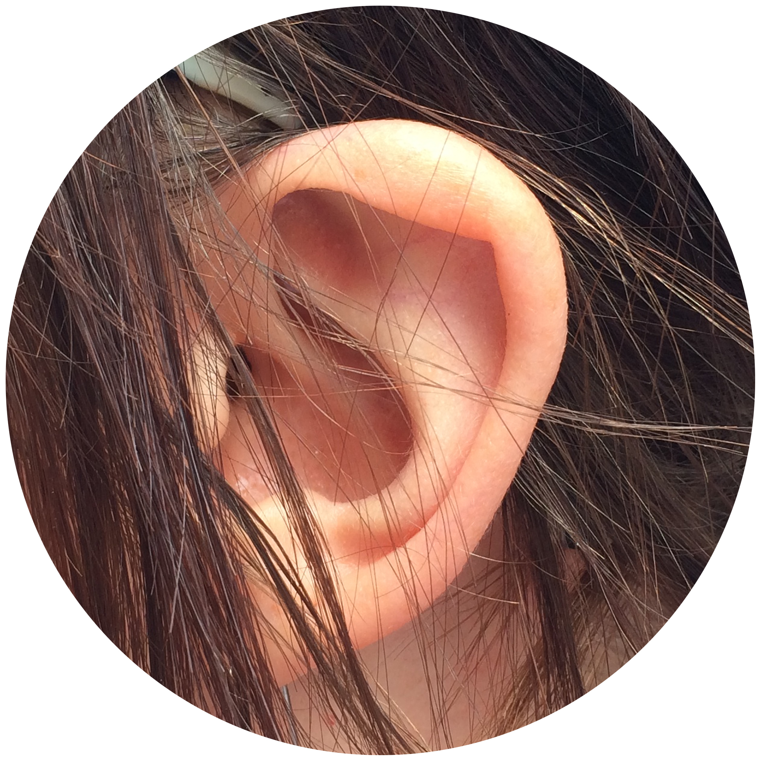Savannah Ear.jpg