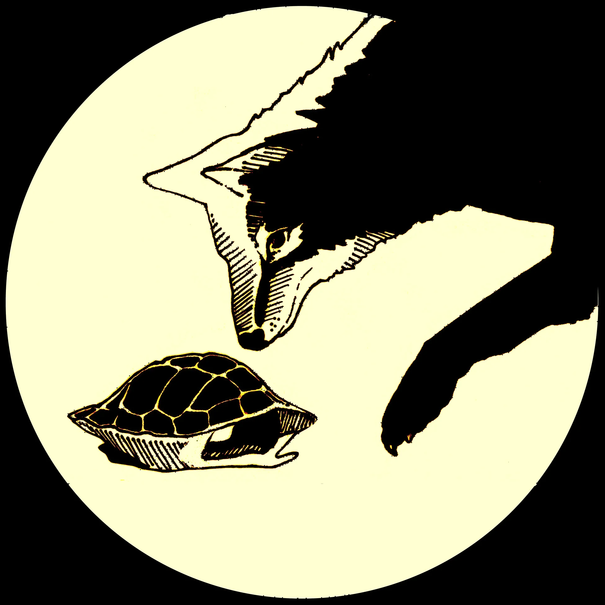 Nobody, Alchemy and Power