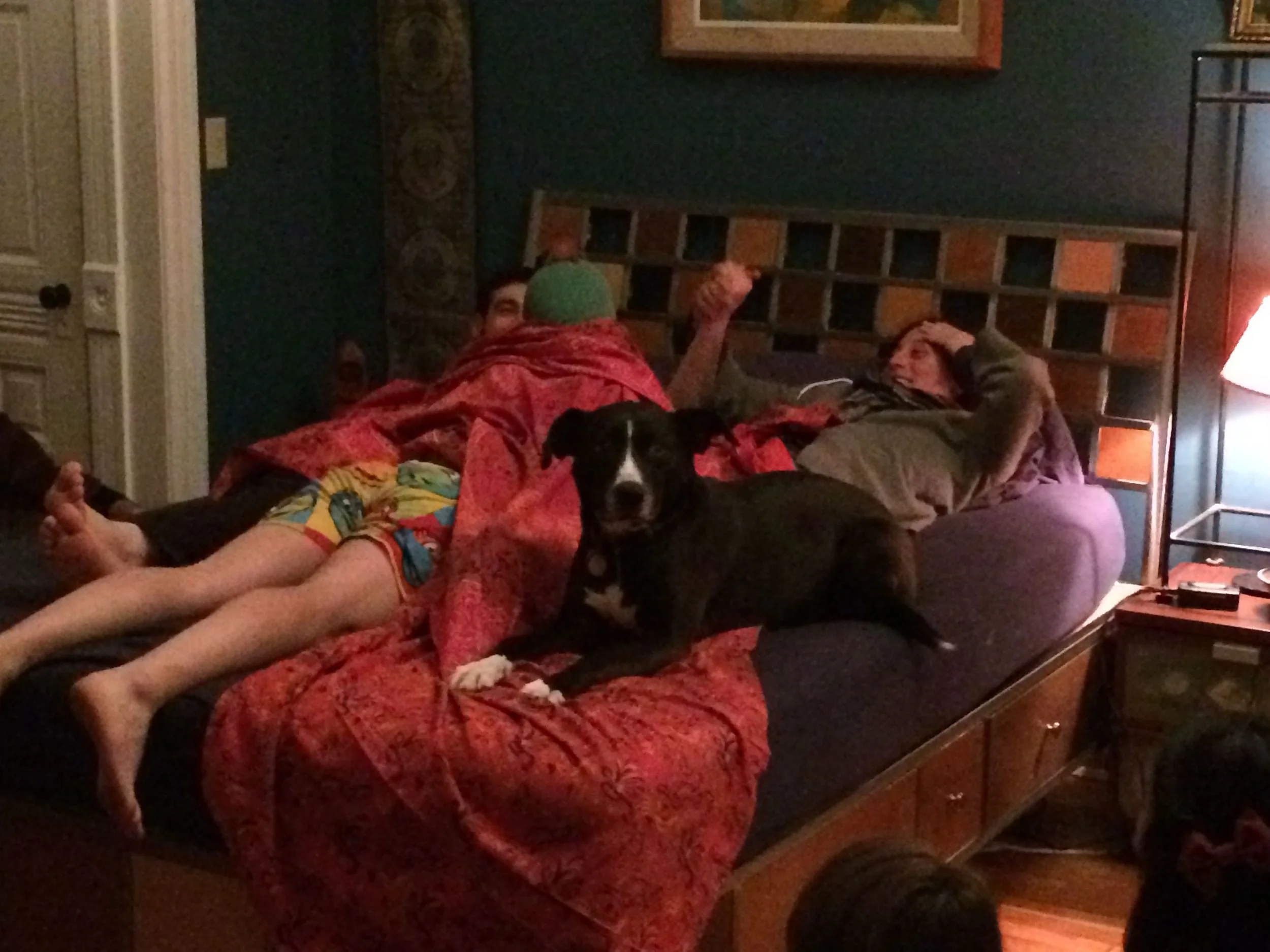 Nobody's Home in Brooklyn