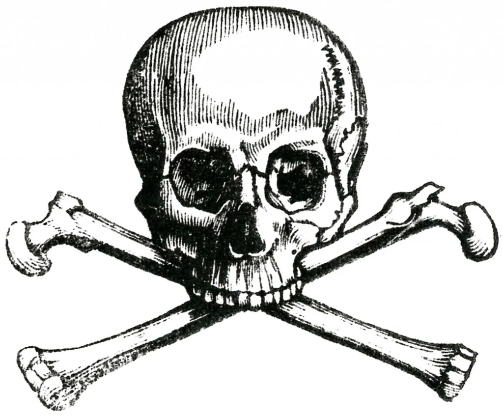 Early-Skull-Image-GraphicsFairy-1024x849.jpg