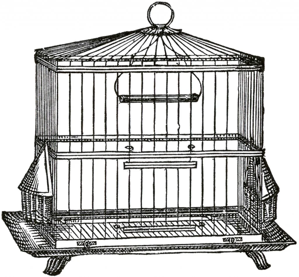 Vintage-Wire-Bird-Cage-Image-GraphicsFairy-1024x948.jpg