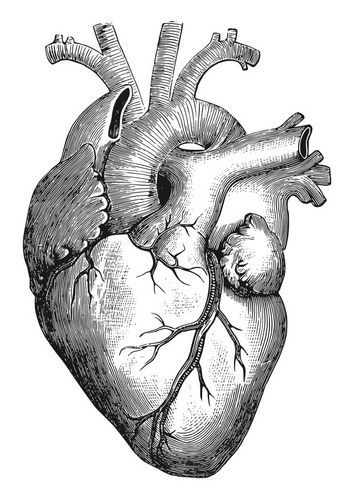 Heart Etching 1.jpeg