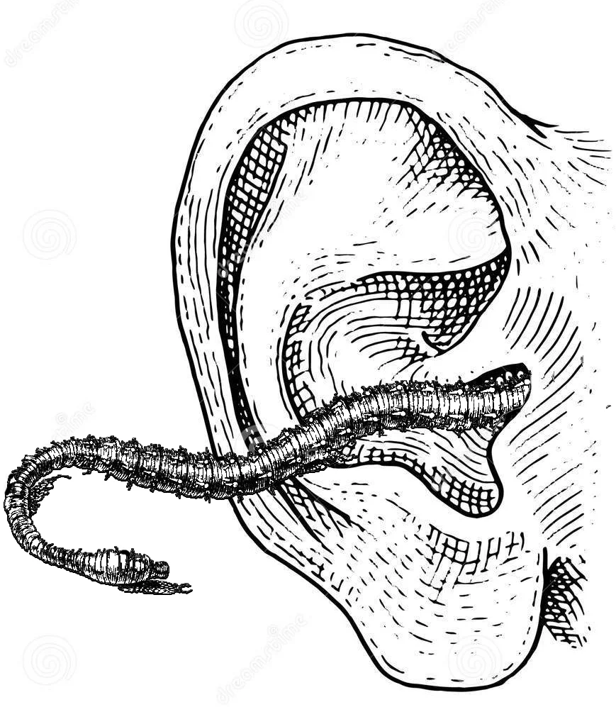 Earworm Woodcut.jpg