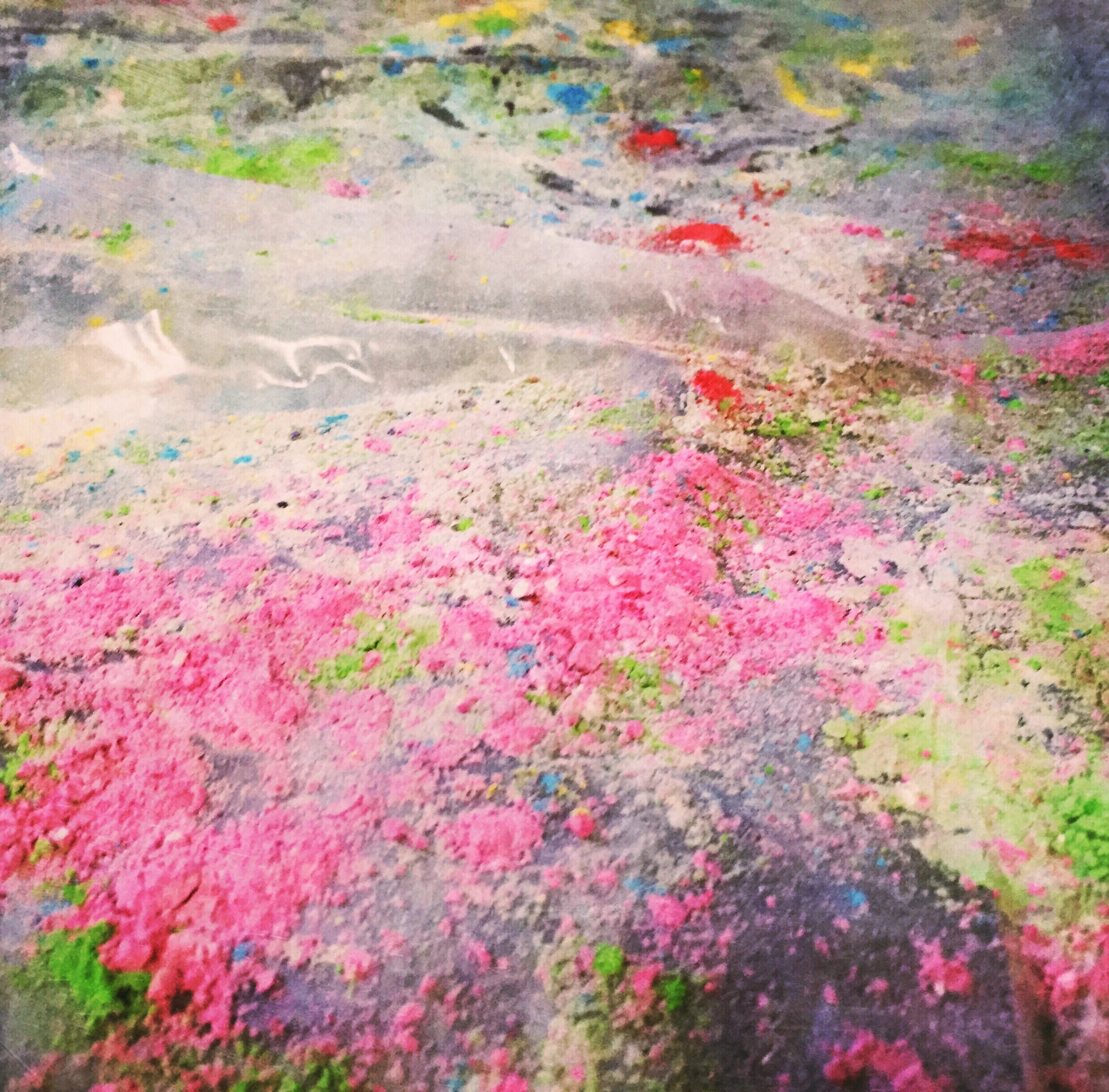 holi powder for photographers