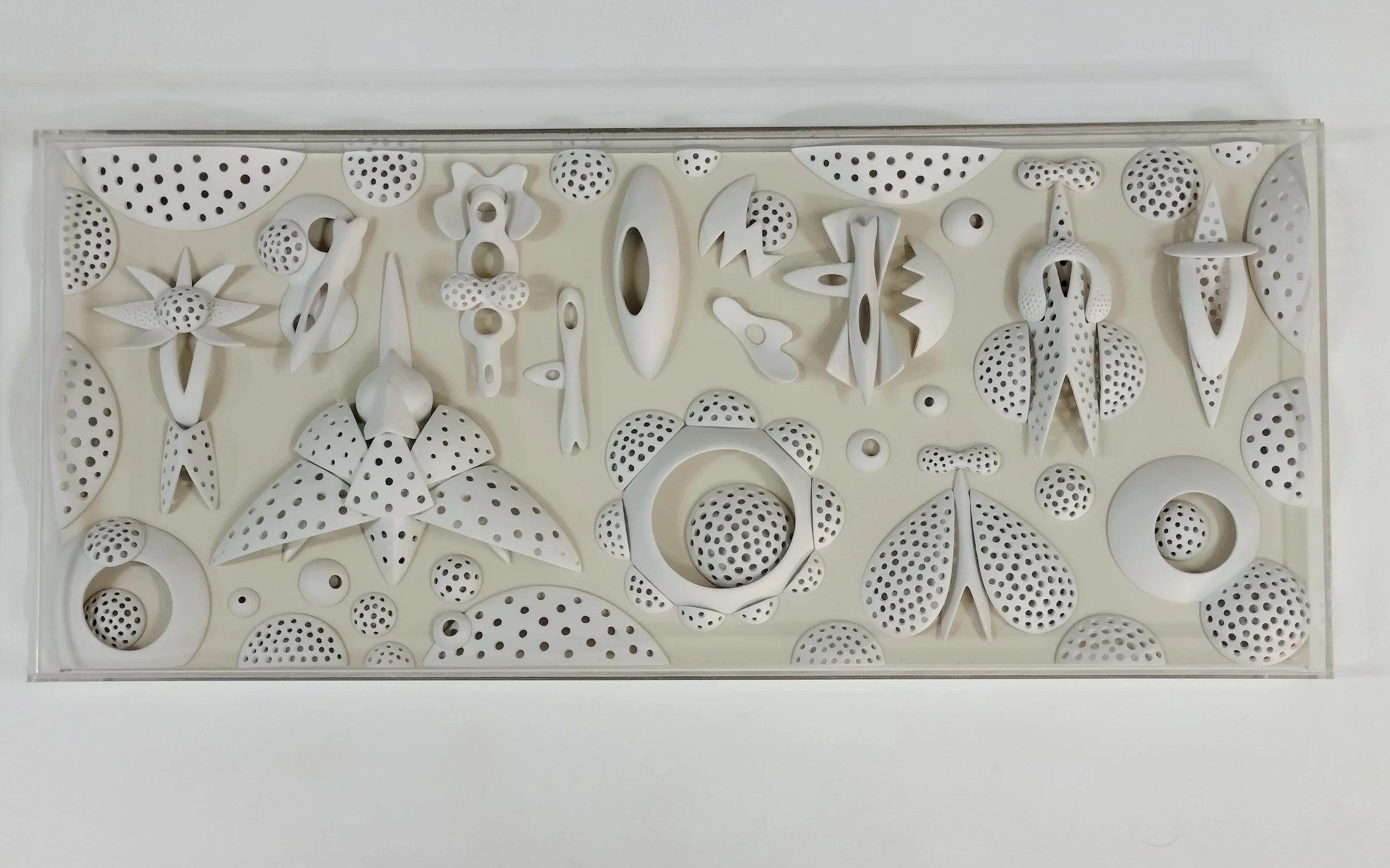 MicroLife 2024. Mixed Media Wall Relief. 65cmX28cmX5cm. Fiona Murphy