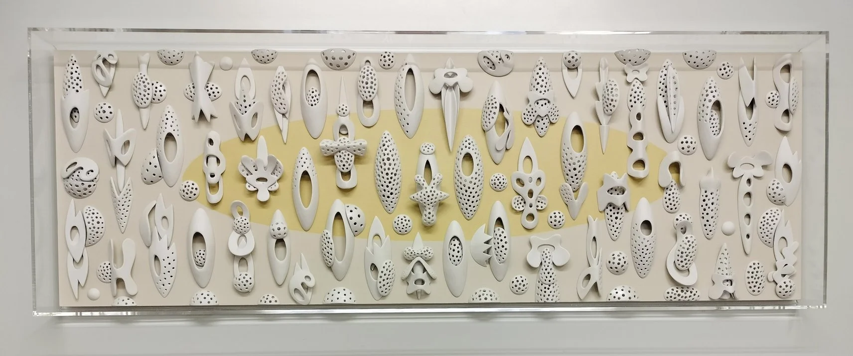 Specimens 2024. Mixed Media Wall Relief. 100cmX35cmX6cm. Fiona Murphy