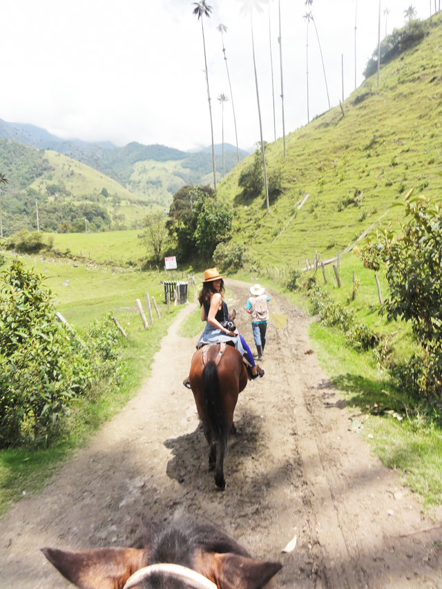 Photography Akos Major