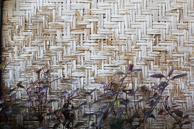 Bali 2 by Ana Maria Muñoz.png