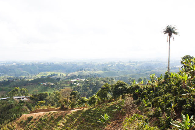 Colombia