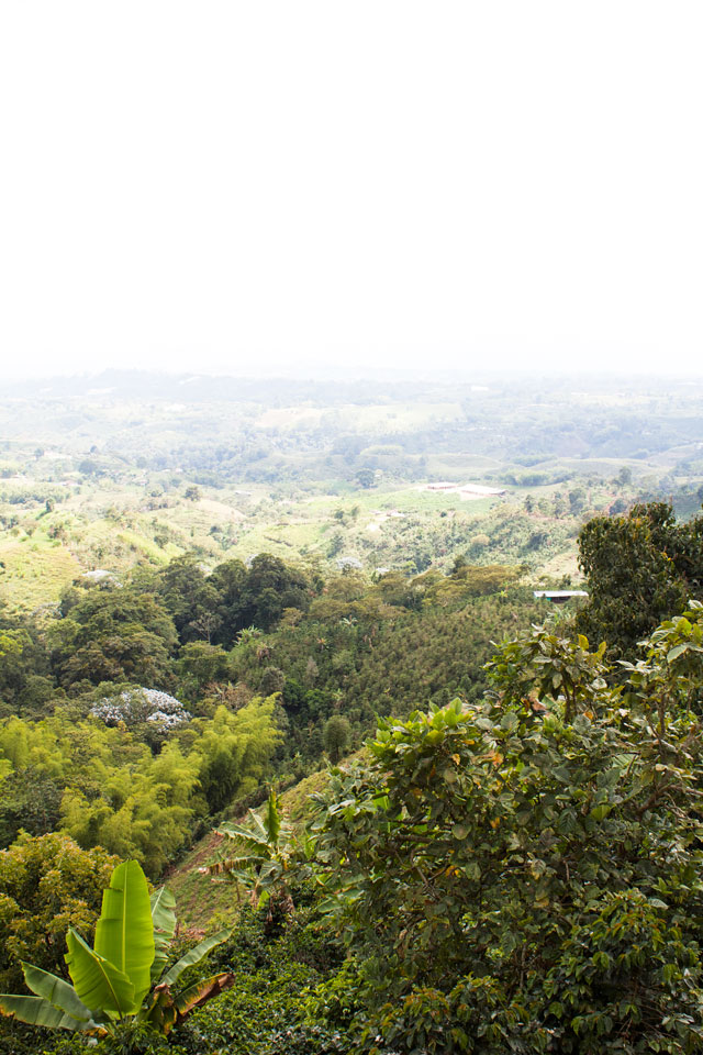 Colombia