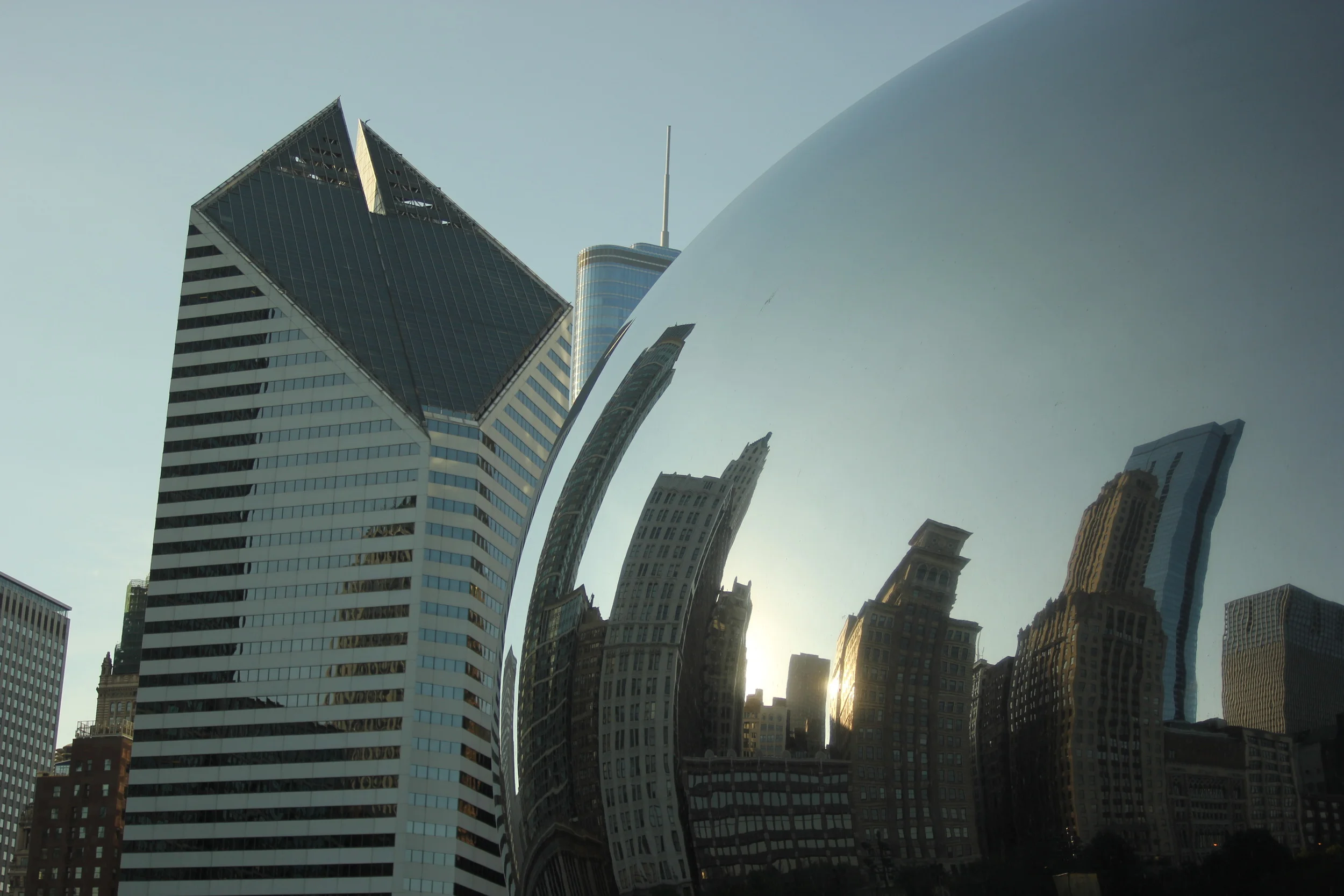 The "bean" (or donut)