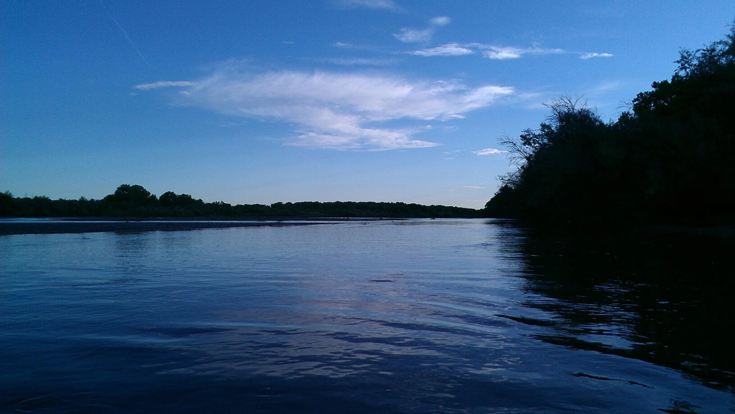 bosque-blue.jpg