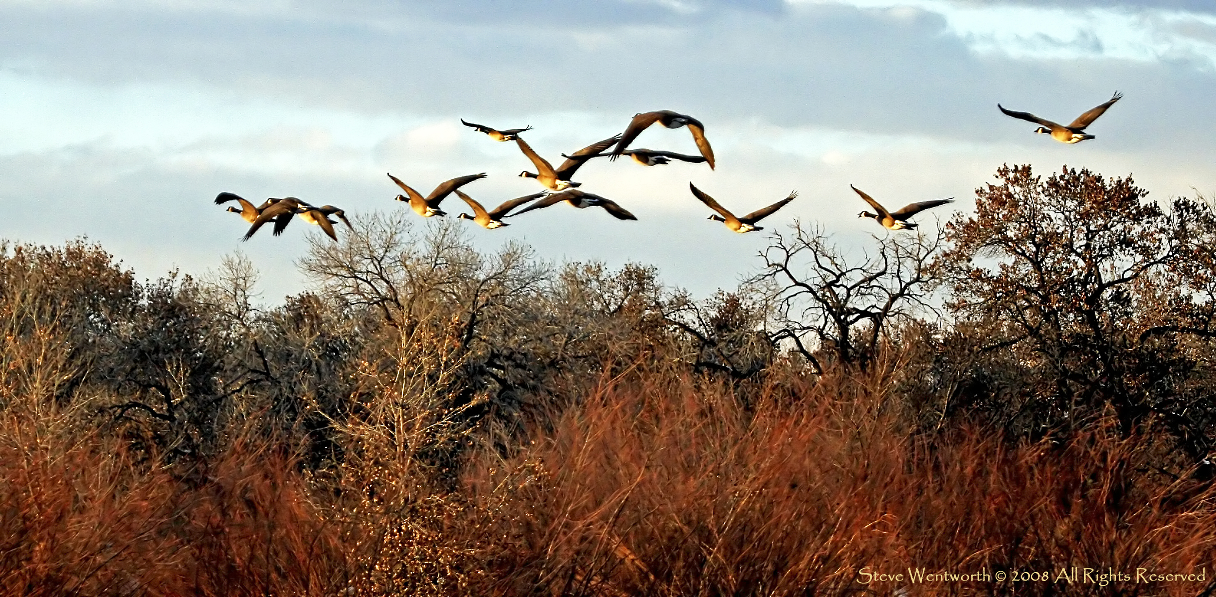 4th Annual Alameda Studio Tour