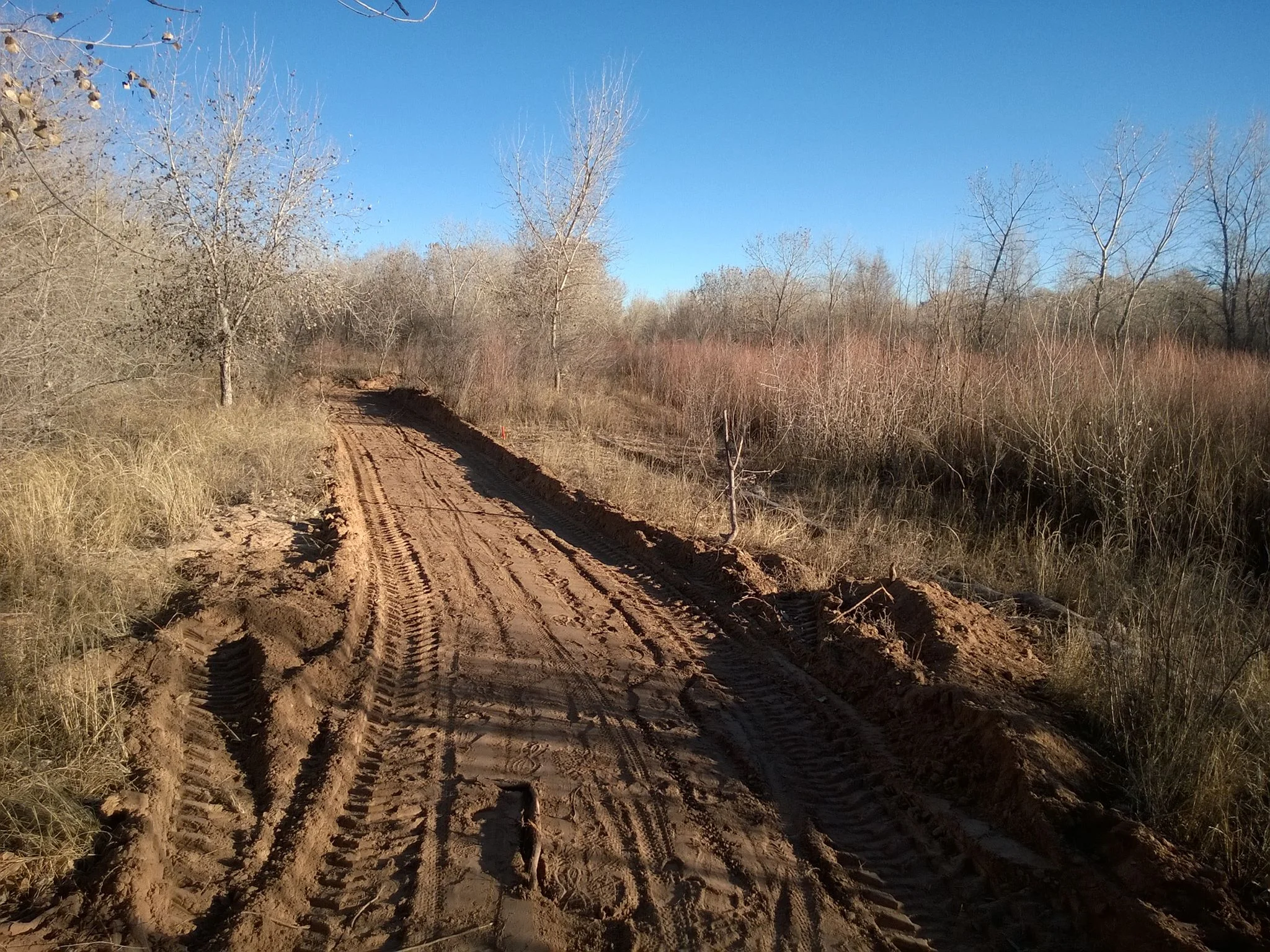 Walk the Bulldozed Bosque