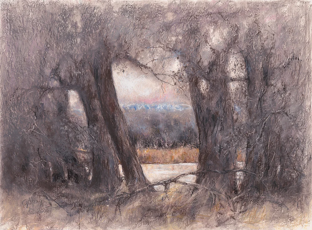 Bosque Exhibit Opening @ Open Space