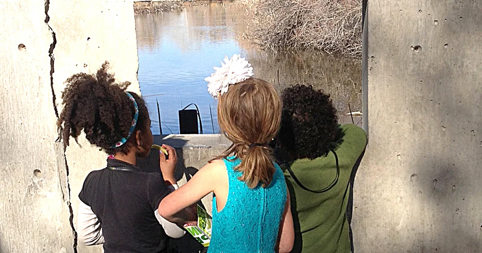 BOSQUE Fun and Education Day: Plant Walk, Botanic Drawing, Raptors and More!