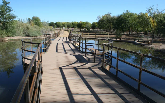 Bosque By Wheelchair