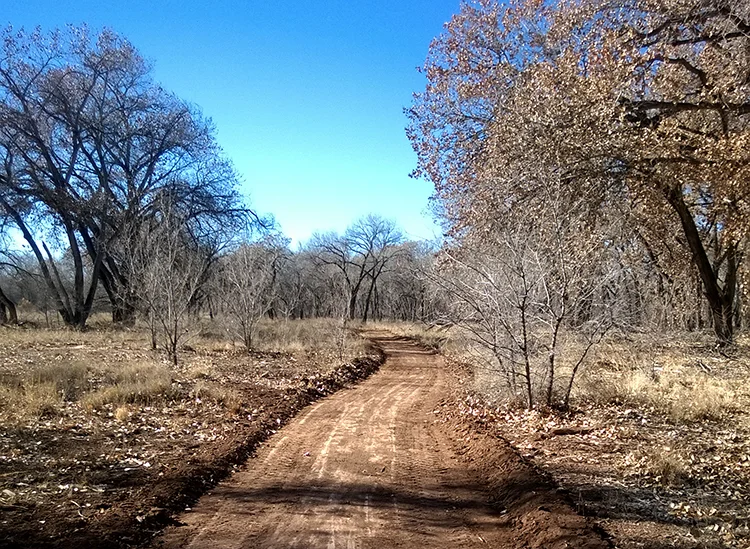 Public hearing - City Plan