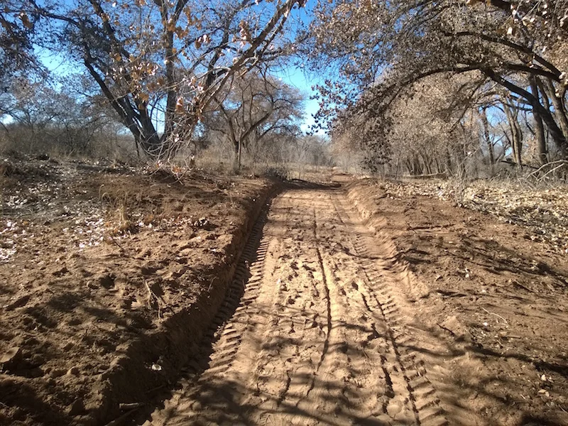 URGENT – Public Meeting on Bosque Trails Thursday