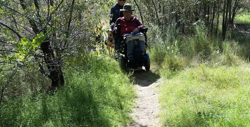 Bosque by Wheelchair