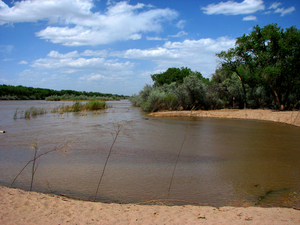 Bosque Exploratory Hike