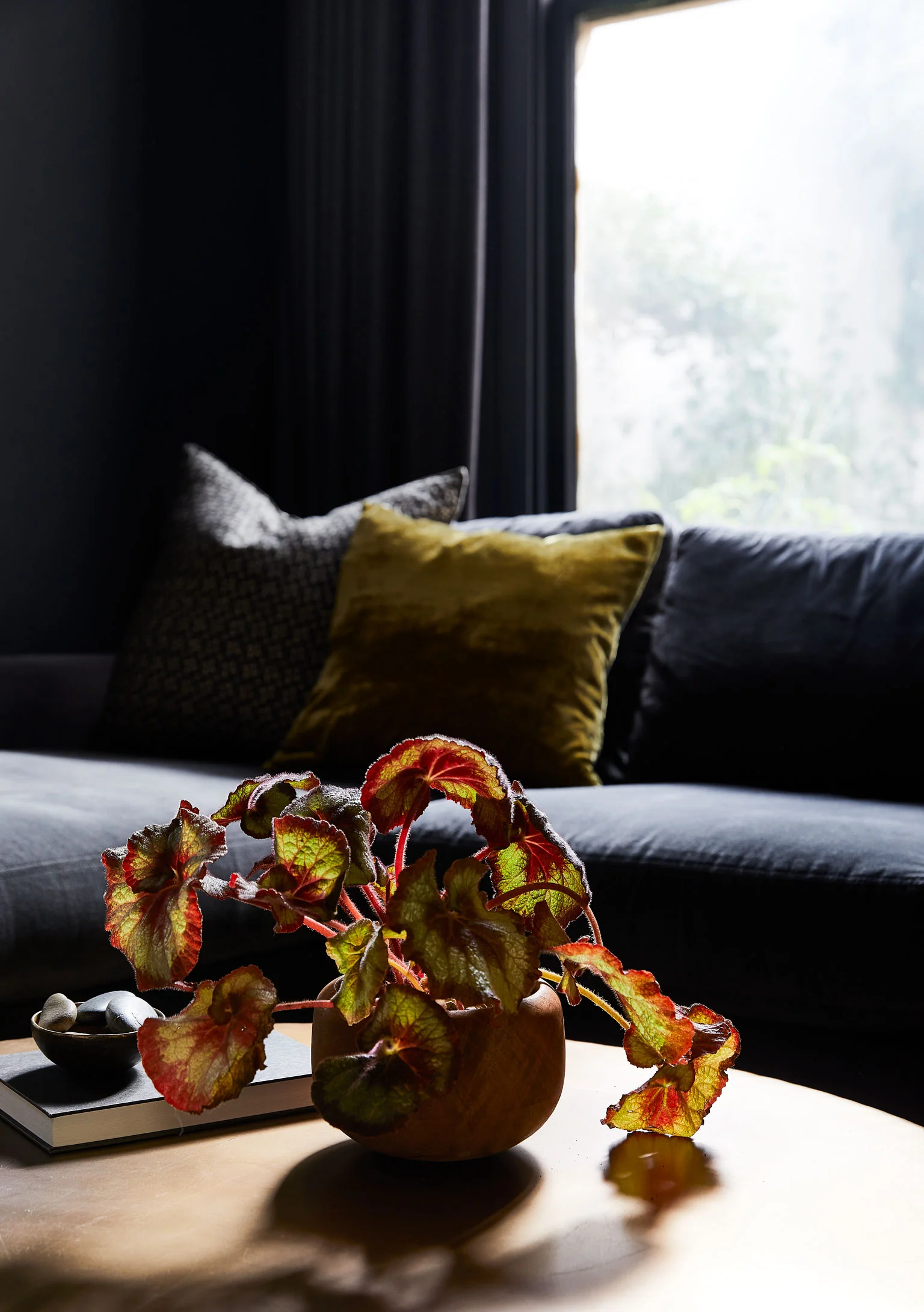 Chapman-Interiors-2-9141.jpg