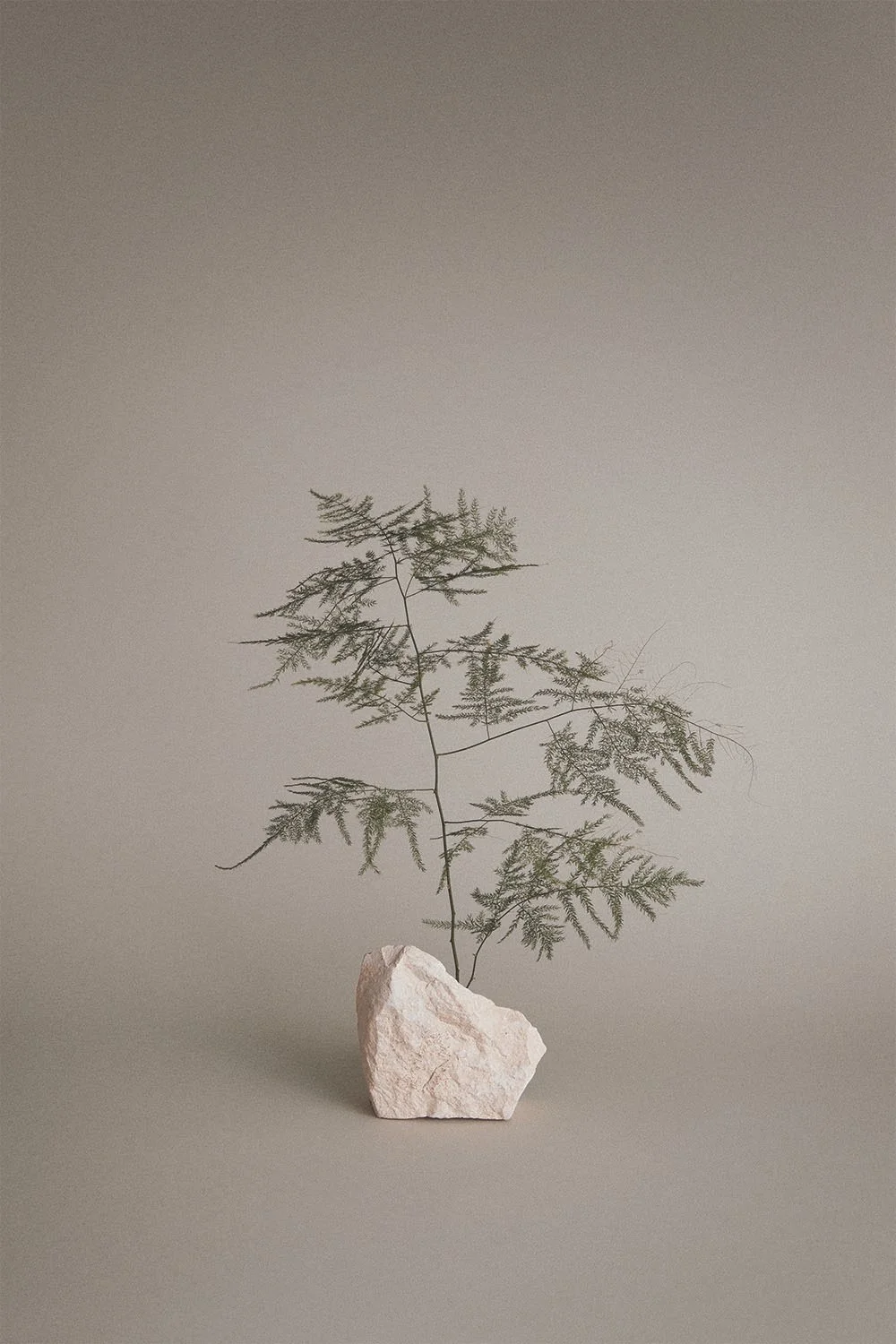 24_TT_Artistic_Ingredient_1_CMYK (1).jpeg