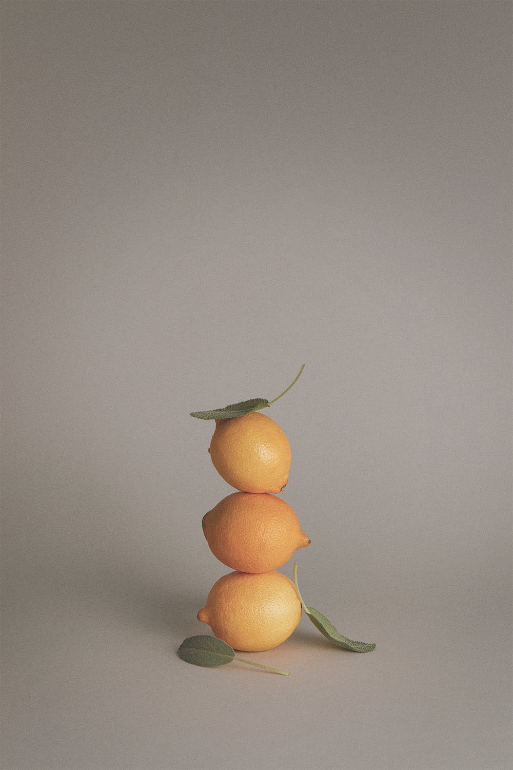 24_TT_Artistic_Ingredient_3_CMYK (1).jpeg