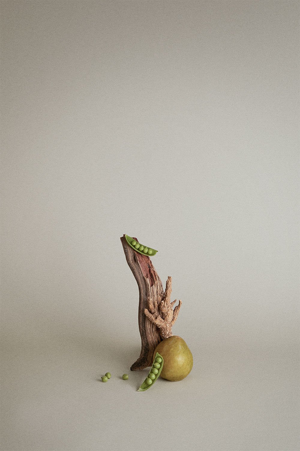 24_TT_Artistic_Ingredient_6_RGB (1).jpeg