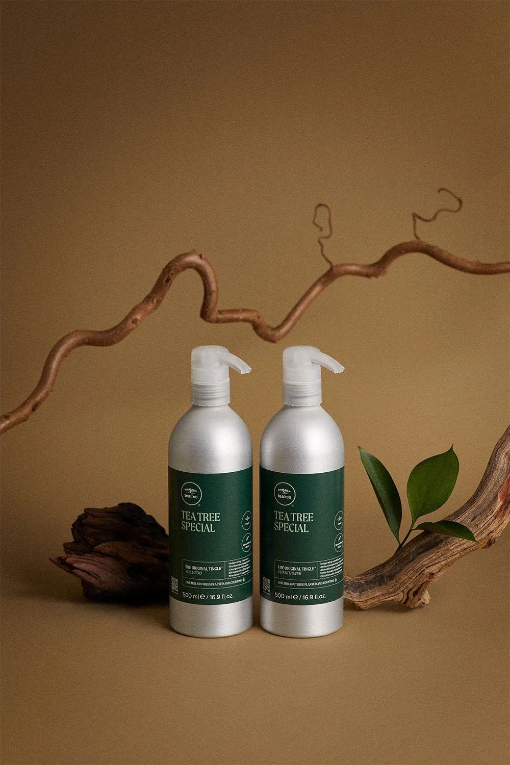 24_TT_Artistic_Special_3_RGB (1).jpeg