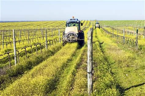 hth-110824-pesticides-hmed-11a.grid-6x2.jpg