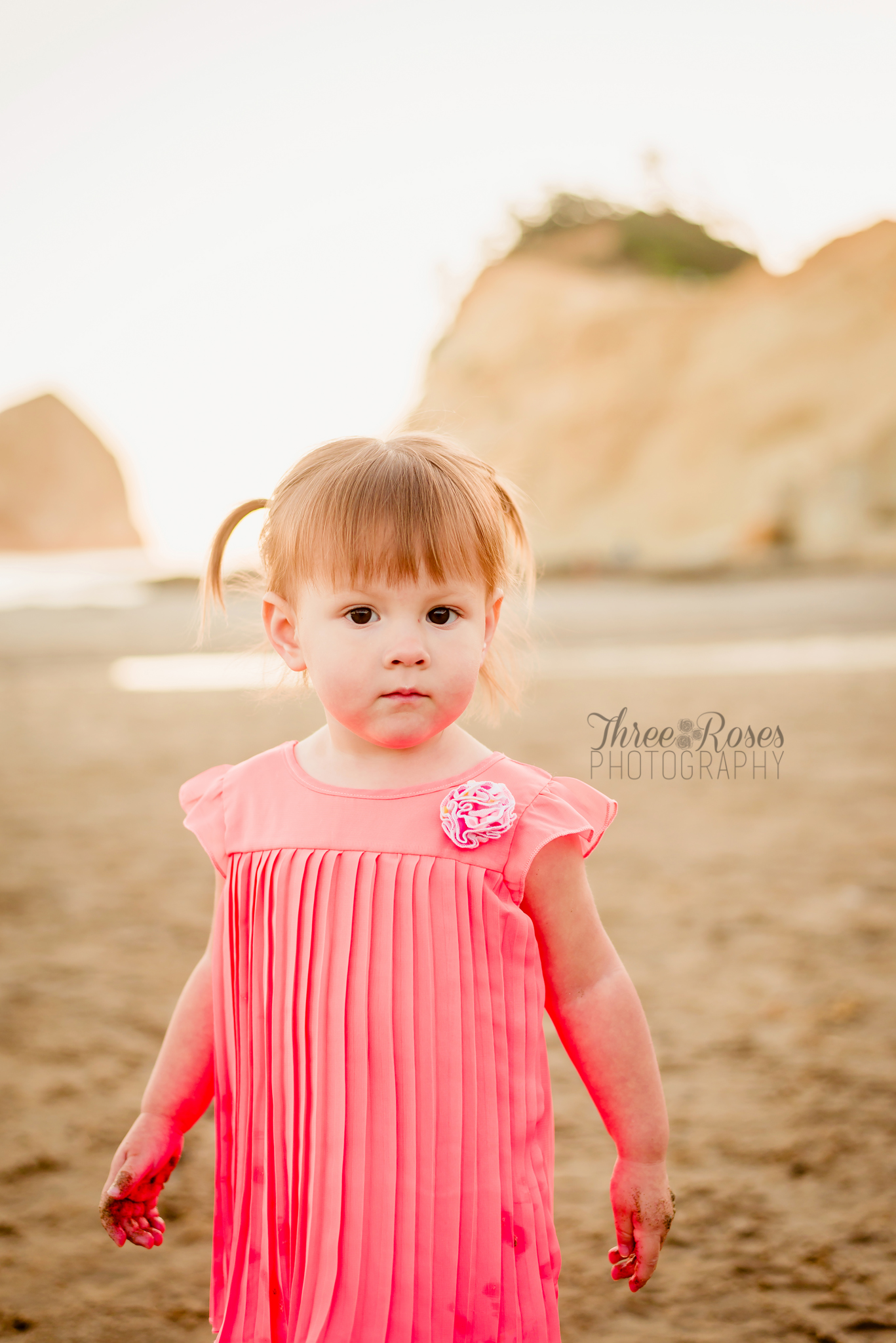 salem oregon family photographer