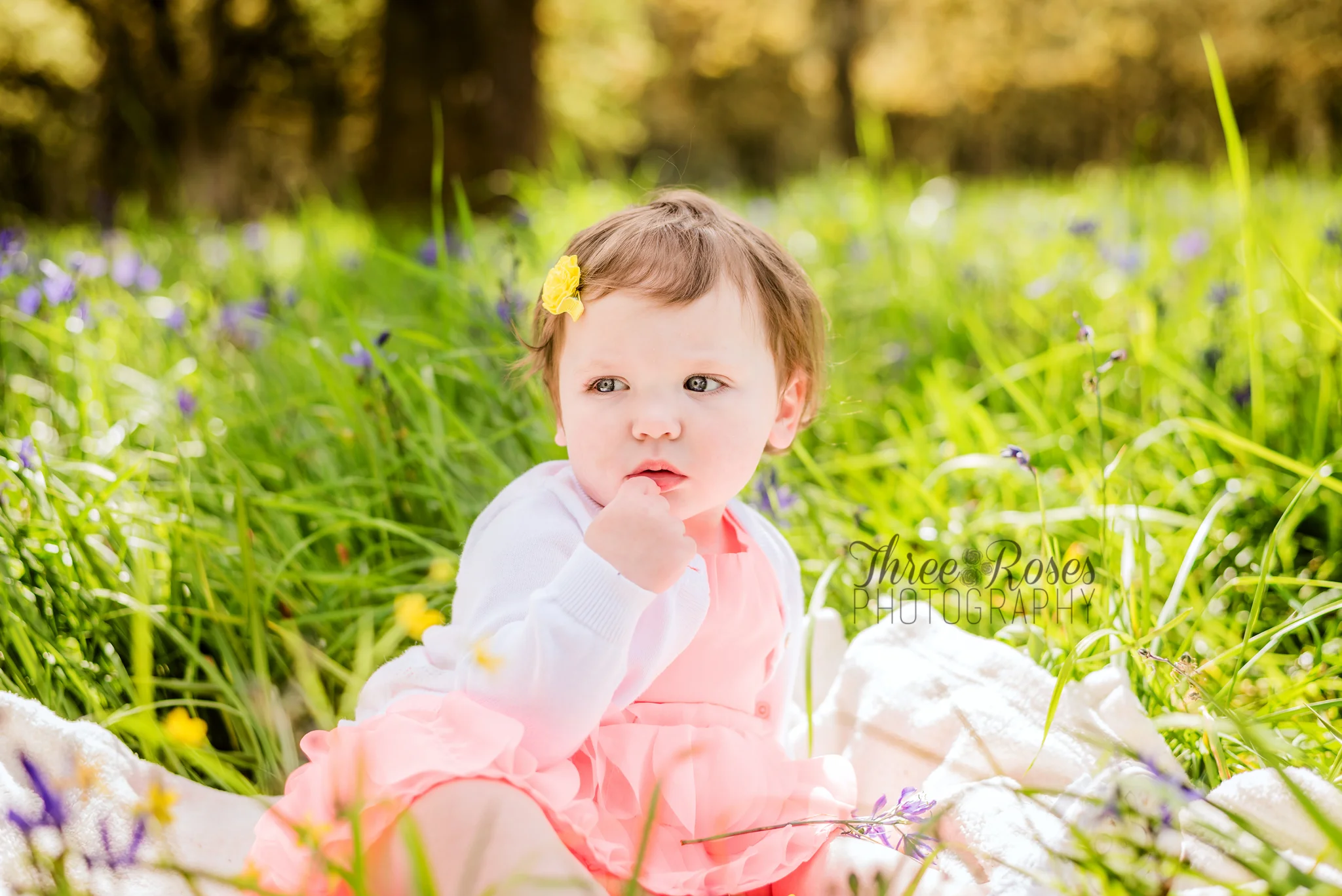 Salem Oregon Photographer