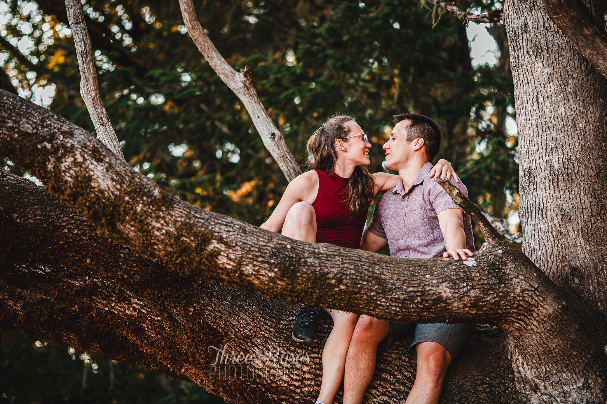  engagement session corvallis oregon fitton green photography photographer 