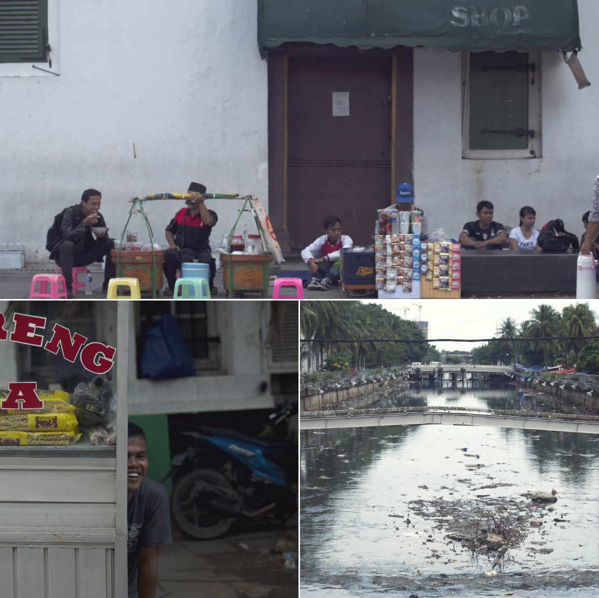 collage2.jpg