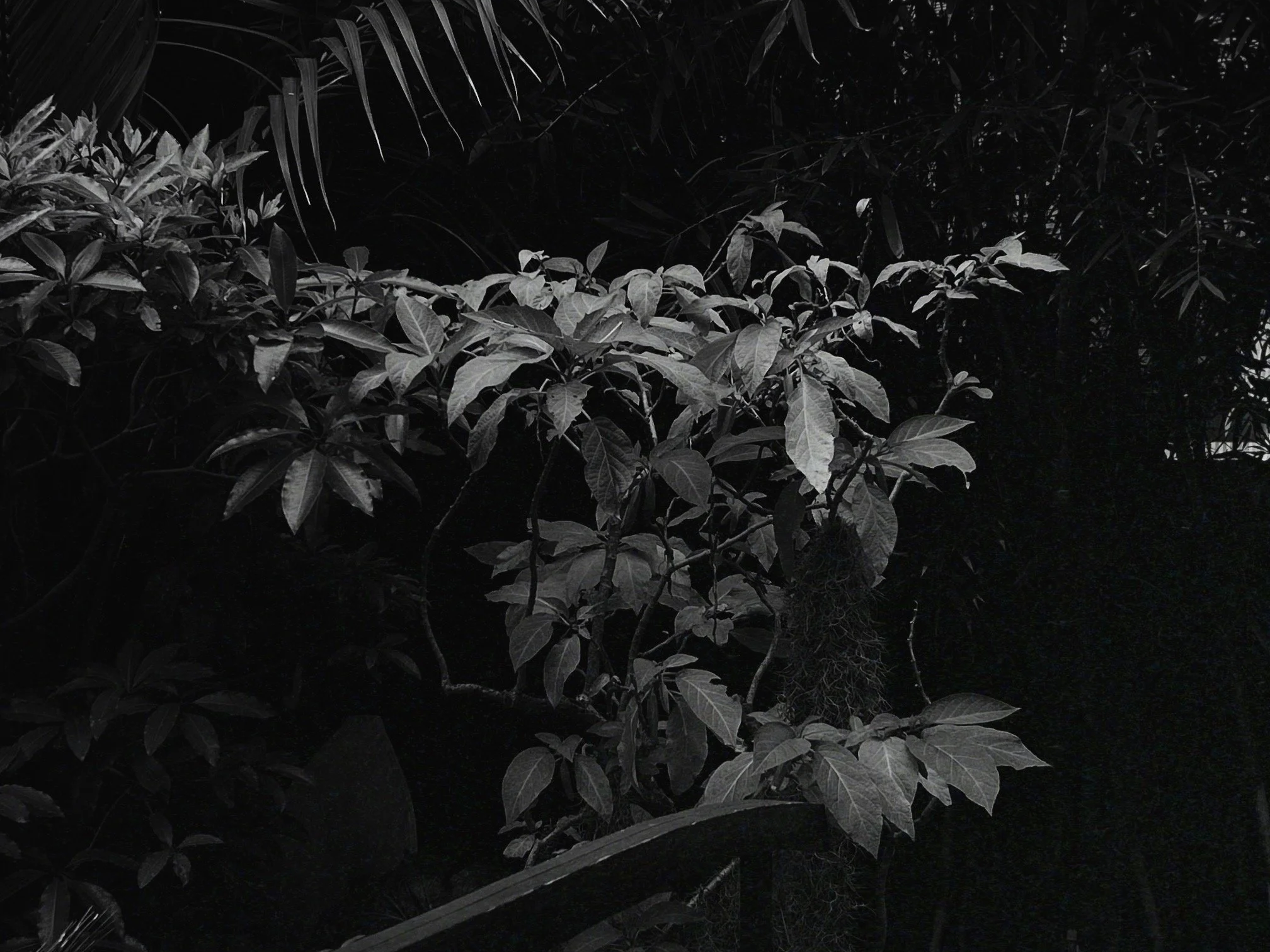 FullSizeRender_VSCO+3.png