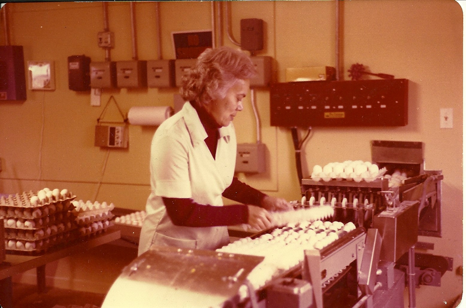 Grandma "running eggs" at their chicken farm in Colorado. She was nothing if not a hard and dedicated worker. 