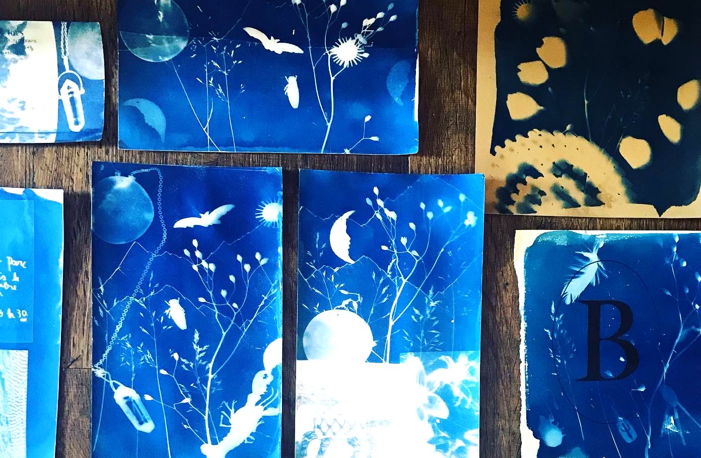 Cyanotypes Workshop: Paint with Light
